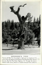 Hangman's Tree Postcard