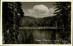 Packer Lake Dodge Postcard
