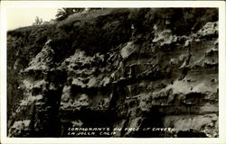 Cormorants On Face Of Caves Postcard