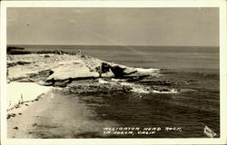 Alligator Head Rock Postcard
