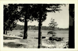 Lake Arrowhead Postcard