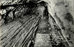Monarch Or Tunnel Tree Postcard