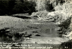 At Redwood Lodge Postcard