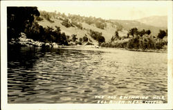 The Old Swimming Hole near Covelo Postcard