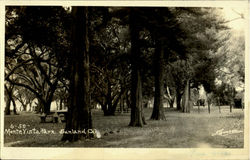 Monte Vista Park Postcard