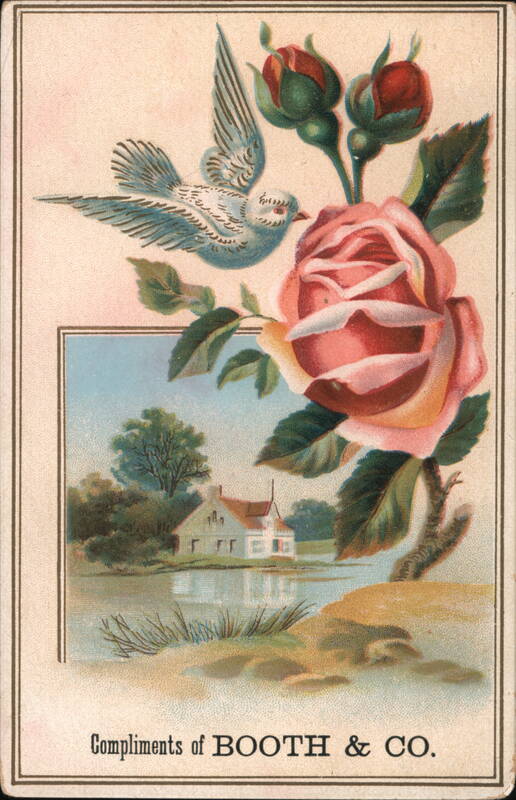 Compliments of Booth & Co. - Rose, Bird, Lakeside Scene