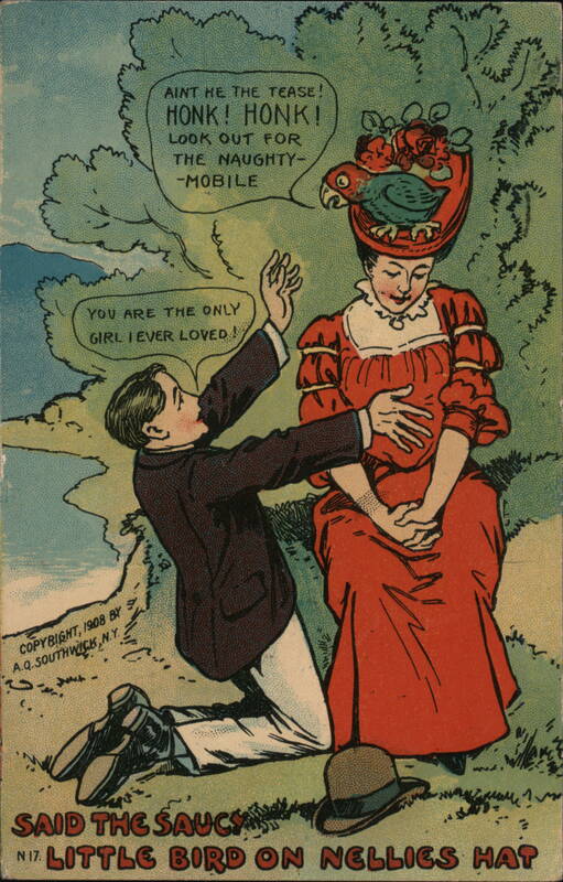 Said The Saucy Little Bird on Nellies Hat Comic, Funny