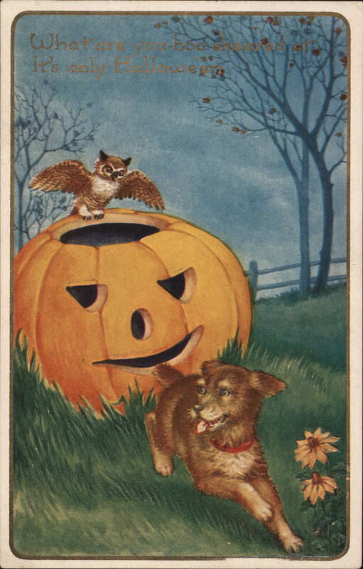 Halloween Greetings with Jack-O'-Lantern, Owl, and Dog