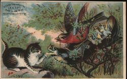 West Brothers' Children's Shoes Ad, Cat & Bird Nest in Shoe Trade Card