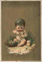 Baby Feeding Birds by Nest, S. & C. Gump Trade Card