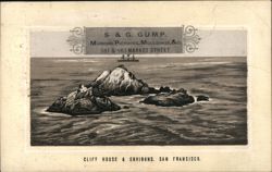 Seal Rocks and Cliff House Environs, San Francisco, CA Trade Card
