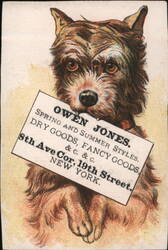Owen Jones Dry Goods, Dog Advertisement, 8th Ave & 19th St, New York Trade Card