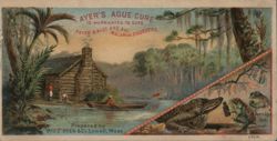 Ayer's Ague Cure, Cabin Scene with Alligators & Frogs, Lowell, MA Trade Card