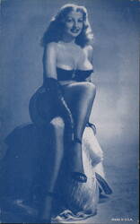 Woman in Bra and Fishnet Stockings Posing Postcard