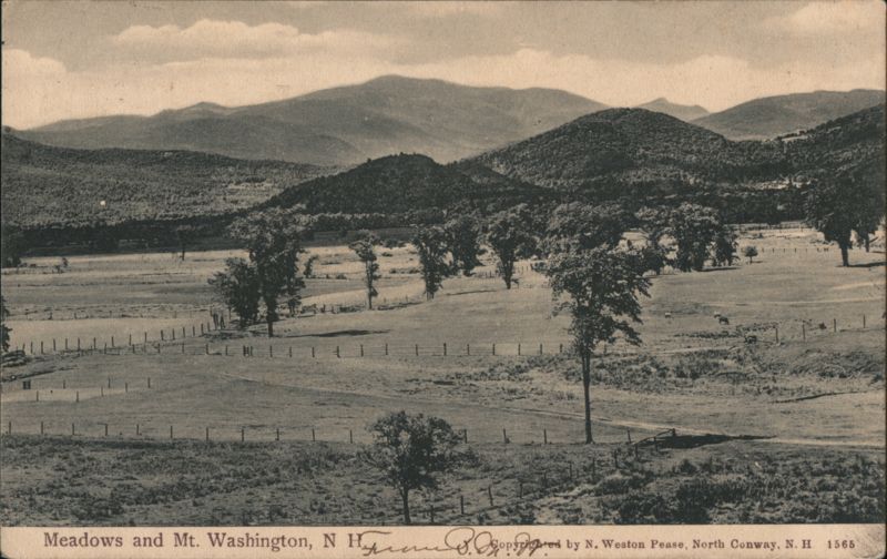 Meadows and Mt. Washington, NH North Conway New Hampshire