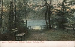 Tupelo Point, Wellesley College, Wellesley, MA Postcard