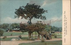 In the Shade of the Old Apple Tree, Canobie Lake Park, NH Postcard