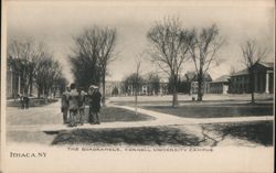 The Quadrangle, Cornell University Campus Postcard