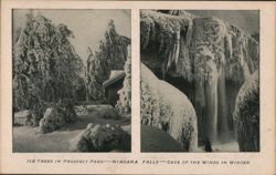 Niagara Falls: Ice Trees, Prospect Park, Cave of the Winds Postcard