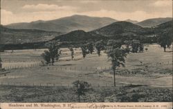 Meadows and Mt. Washington, NH Postcard