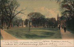 The Campus, Yale University, New Haven, CT Postcard