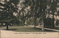 Pretty Corner of Campus, U of M, Ann Arbor Postcard
