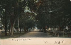 Orange Avenue, Daytona, FL Postcard