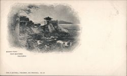 Midway Point, Near Monterey, California Postcard