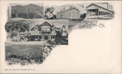 Greetings from San Rafeal, Cal. Postcard