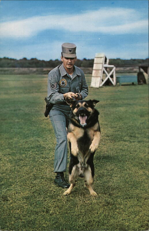 Combat Defense Force Sergeant Exercises a Sentry Dog Columbus Mississippi