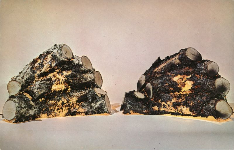 Rustic Arts Electric Fiberglass Logs Advertising