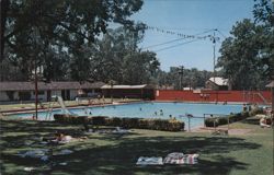 Vichy Springs Amusement Park Swimming Pool, Napa, CA Postcard