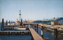 Sportsfishing Docks at Pierpoint Landing, Long Beach, CA Postcard