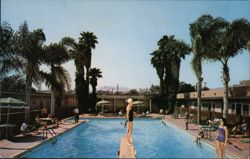 Swimming Pool at The Wm. Tell Motel, Santa Monica Postcard