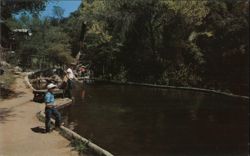 Trout Pond, California Hot-Springs Resort Postcard