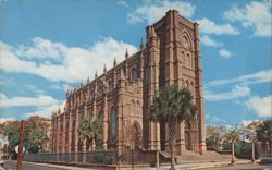 Cathedral of St. John The Baptist Postcard