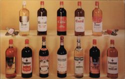 Frontenac Corsi Meconi Brands Wine Selection Postcard
