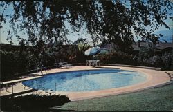 Cadillac Pools Advertising, In Just 4 Days Postcard
