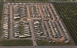Twin Palms Mobile Home & Trailer Park Postcard