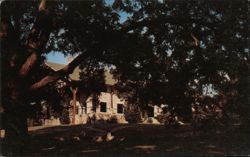 Camp Mystic for Girls, Hunt, Texas Postcard