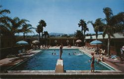 Swimming Pool at the Wm. Tell Motel & Apartments Postcard