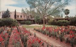 The Arizona Inn Postcard
