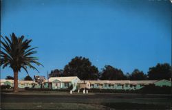 Williston Motel, Williston, FL Postcard