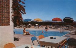Swimming Pool at Paradise Inn, Phoenix, AZ Postcard