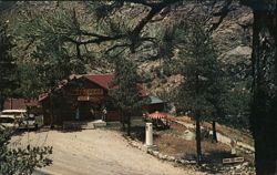 Ziegler's Pine-Vu Lodge, Poudre Canyon Postcard