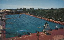 Olympic Swimming Pool at Ocean Beach Park, New London Postcard