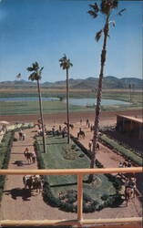 Turf Paradise Race Track Walking Ring, Phoenix, Arizona Postcard
