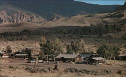 The Trail Inn & Motel, Wapiti, Wyoming Postcard