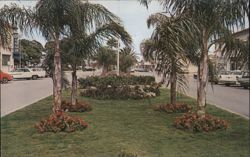 Venice Avenue with Palm Trees and Flower Beds Postcard