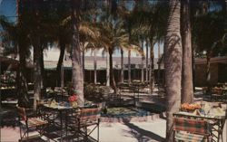 Palm Gardens, Inc. Postcard
